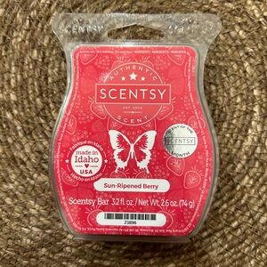 Scentsy Wax Bar